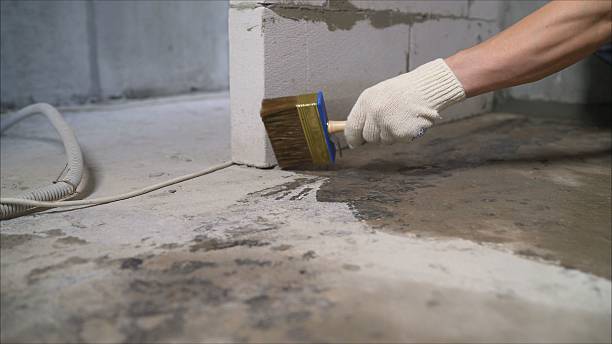 SJ Waterproofing Pros Crawl Space Encapsulation coverage map for Palmyra, NJ and surrounding area